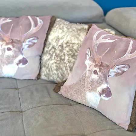 Schwarzwaldmaedel * زيلباخ